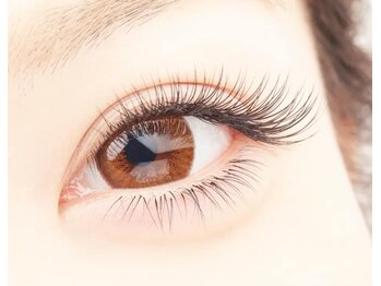 ラグーン(LAGOON)/フラットラッシュ