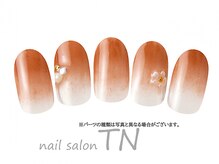 ティーエヌ 文苑堂TSUTAYA小杉町店/4月季節の定額4900円コ―ス