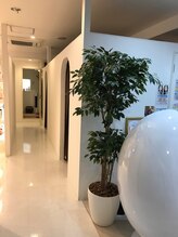 ローズマリー(rosemary)/白を基調とした清潔な店内