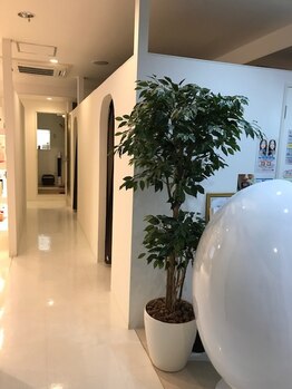 ローズマリー(rosemary)/白を基調とした清潔な店内