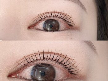 アイラッシュ＆ネイル レーヌ池袋 (Reine)/パルフェカール（まつ毛パーマ）