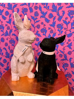 ソルシエール(sorciere)/