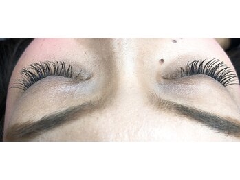 シルフ 石橋店(Sylph)/カシミヤセーブル 120本