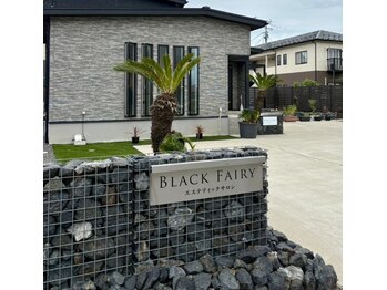 ブラックフェアリー(Black Fairy)/自然石のガビオンが目印です