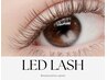 8月限定★担当指名不可【LEDマツエク】フラットマットラッシュ120本 ¥5200