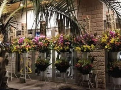 ミヤビ(MIYABI)の写真