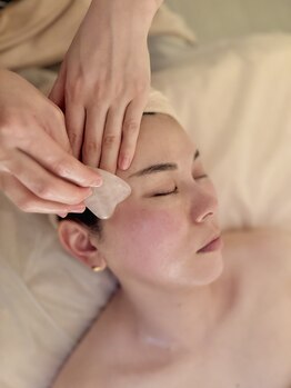 ジェミニ(Gemini)/8)カッサを使って最後のお仕上げ