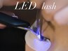 【安定感×持続力】アンドヘルシー＋LEDエクステ 120本～ブライダルにも◎