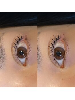 ラフェスタ ビューティー(Lafesta Beauty)/パリジェンヌラッシュリフト