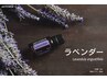 【9月キャンペーン！！】ラベンダー　アロマオイル　6500円→6000円