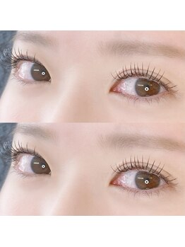 ディーロータス(D-lotus)/まつげエクステ/マツエク