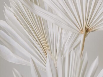 アンドネイル ビューティー(AND nail,beauty)/AND nail,beauty/藤沢