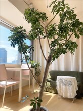 鍼灸治療院ヒカリ(hikari)/【鍼灸】カウンセリングルーム