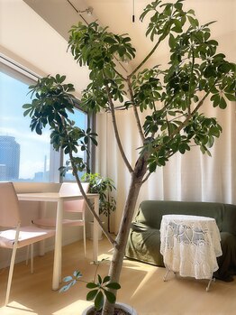 鍼灸治療院ヒカリ(hikari)/【鍼灸】カウンセリングルーム