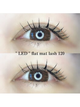 フォーヴリュンヌ(FOVLUNE)/フラットマットラッシュ