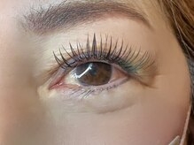 フリー#240(Free#240)/ダブルフラット240本