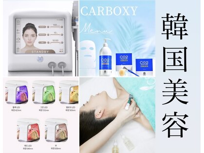 ラウレア(LAULEA)の写真