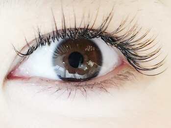 ティグル カミトオリ トータルビューティー(TIGRE)/240本☆柔らかなお目元を*