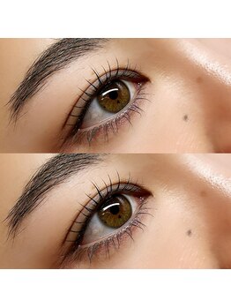 アニ 恵比寿(ani)/まつげパーマ