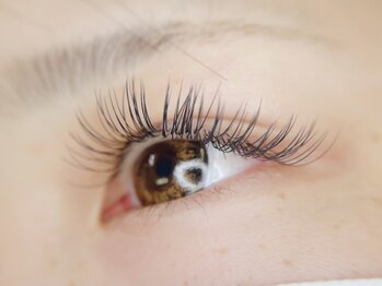 ニコル(nicolu)/片目85本