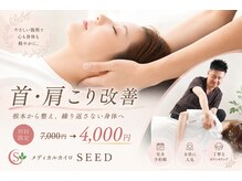シード(SEED)