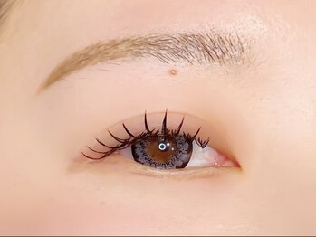 コア(Koa)/バインドロック120束