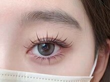 アリータ(ALITA)/サンフラワー120本