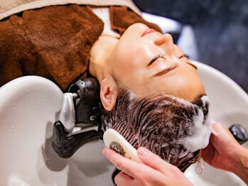 パナシーア(Panacea)/シャンプーブラシ