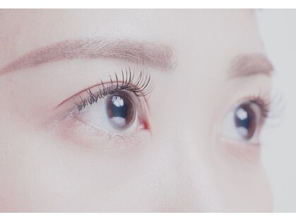 ニュートラル(NEUTRAL)の写真