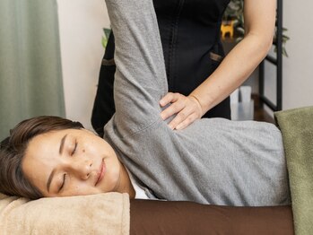 ねこちぐら/自身では難しいケア箇所など