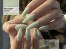 ミントネイル