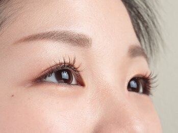 カミーノ(CAMINO)/