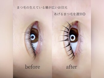 シエル(Se aile)の写真/【阪神西宮徒歩5分】持続力&モチ◎韓国風・韓ドル風束感やメーテルラッシュ等大人気デザイン豊富にご用意★