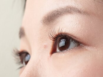 カミーノ(CAMINO)/