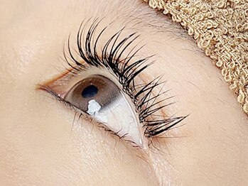 モーイ(mooi)の写真/＼韓国束感～華やかボリュームまで／〈セーブル/フラットラッシュ/3D〉60本～無制限つけ放題ご用意◎