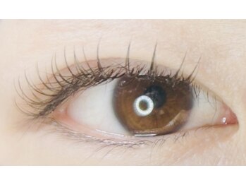 ココ(Coco)/Flat Lashダブル140本