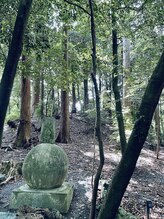 チェッコリ(CHECCOLY)/椿大神社へ♪