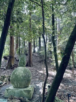 チェッコリ(CHECCOLY)/椿大神社へ♪