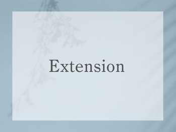 アイハビー 自由が丘(eyeHbe)/エクステメニュー