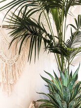 エルカ(eluca)/店内