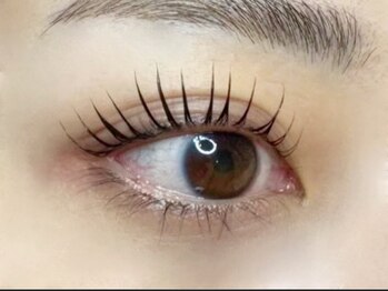 デジール/立ち上げカール