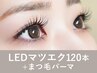 【再来】<フラットラッシュ>LEDマツエクパーマ120本120分