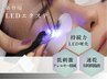 22歳以下限定！LEDマツエク☆フラットラッシュ120本　7000円　
