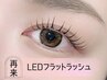 【束感まつ毛】LEDマツエク・フラットラッシュ 80本まで ¥6500