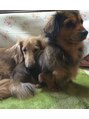 クララジャパン(CLALA JAPAN) 犬が大好きでよく動画を見ます！