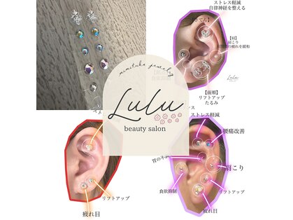 ルル(Lulu)の写真