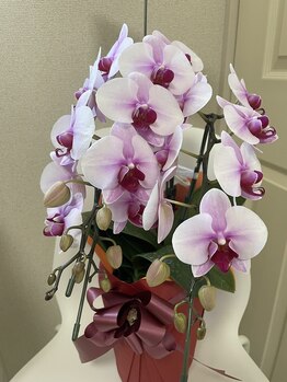 フルール(FLEUR)/開店祝い♪