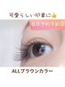 【再来】ALLブラウンカラー140本迄￥6500（オフあり＋500円）