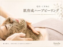 アネラ(Anela)の雰囲気(毛穴・くすみに透明感を育てる肌育成ハーブピーリング)