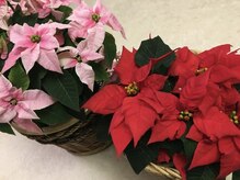 小池整体院/２０２１年１２月で２０周年。